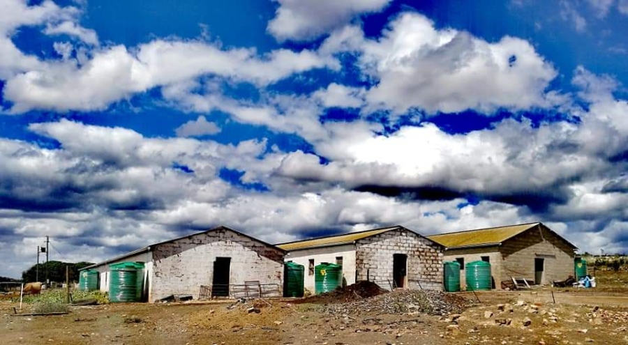  Bedroom Property for Sale in Riversdale Rural Western Cape